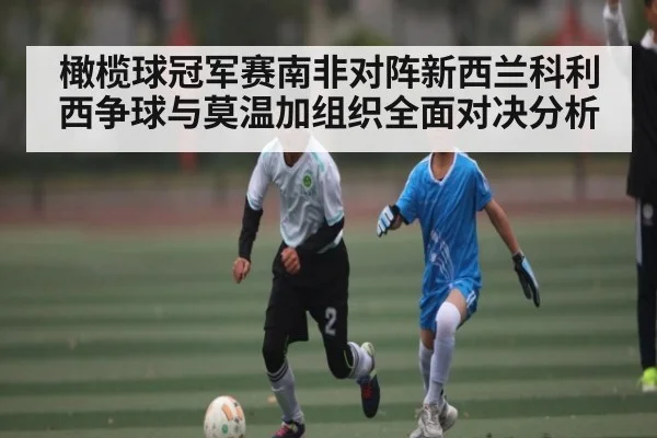 橄榄球冠军赛南非对阵新西兰科利西争球与莫温加组织全面对决分析